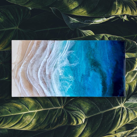 Ocean Art Collection